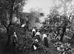 Anna Lindhagen och stadsodlingens historia: arbete i Björns trädgård.