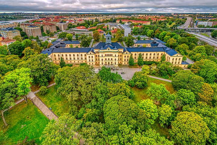 På Montessori Mondial Kungsholmen står läsningen i centrum.
