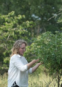 Ebba Bohlin, konst. Foto: Joakim Olsson