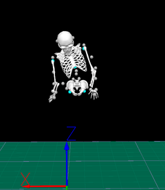 Mätningar i Laboratorium för rörelseanalys som det ser ut i det tredimensionella motioncapture-systemet. Foto: Pontus Nord / Region Örebro län.