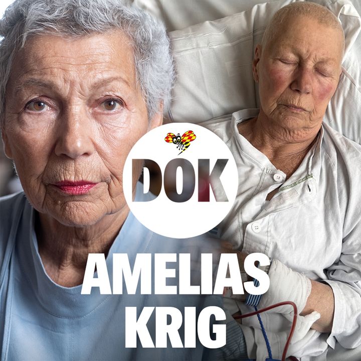 Expressen Dok, foto: Expressen