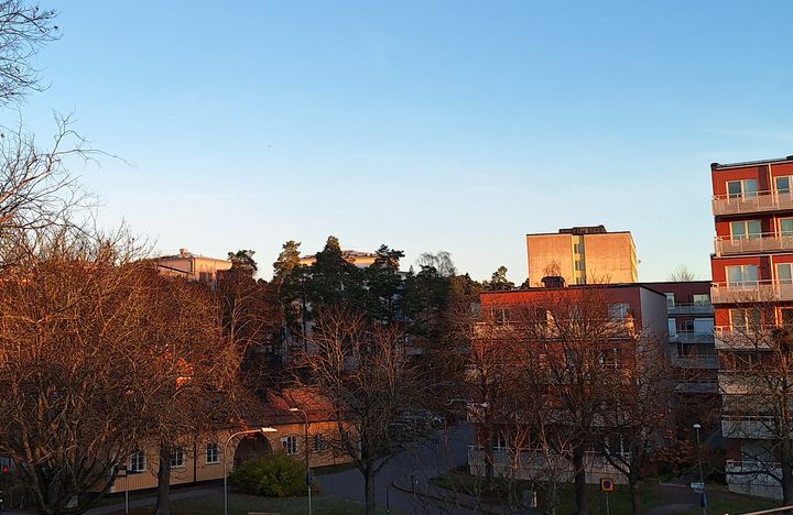 Höstträd och bostadshus i morgonljus, blå himmel i bakgrunden.