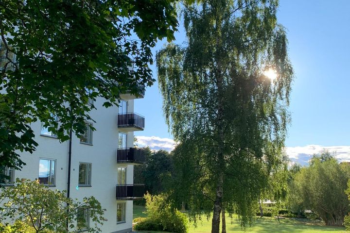 Flerbostadshus och gröna träd med blå himmel och höstsol i bakgrund
