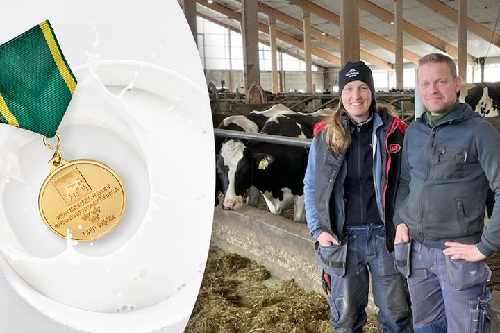 Johanna och Carl Harry Tell från Varnhem i Skaraborg är en av årets mjölkföretagare som får åka till Stockholms Slott och ta emot LRF Mjölks guldmedalj ur Kronprinsessan Victorias hand.
