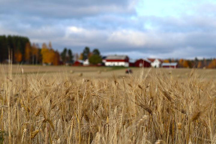 LRF. Inga restriktioner