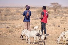 I takt med att djur dör och brunnar sinar överger familjer landsbygdsområden och flyttar till flyktingläger eller större städer i jakt på vatten och hjälp.