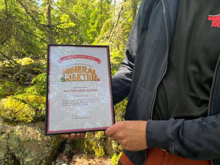 Förstapriset i årets upplaga av SGU:s tävling Mineraljakten delas ut för ett fynd av det metalliska grundämnet molybden.