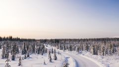 En skogsväg i vinterlandskap.