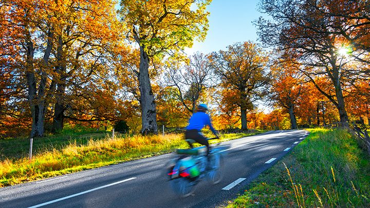 Cyklist på landsväg en solig höstdag.