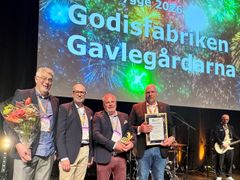 Glada vinnare från Gavlegårdarna tog emot priset för Allmännyttans bästa bygge under Fastighetsdagarna i Malmö. Från vänster Ulf Gavlefors, Lars Bergmark, Lars Janols och Mattias Janson.