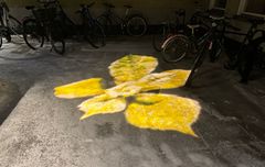 Vackert löv på asfalten skapat med ljus-projicering