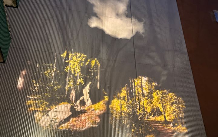 Bild på det ljus-konstverk som föreställer en skogsglänta på en av Einar Mattssons innergårdar