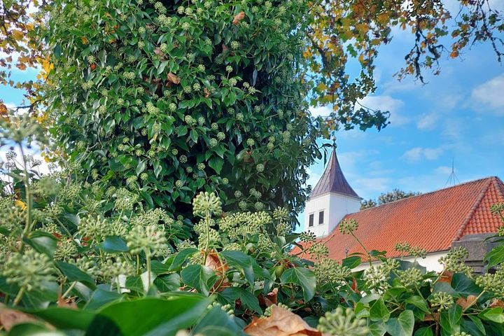 Valprövningsnämnden har beslutat att omval ska genomföras i Vårgårda pastorat.