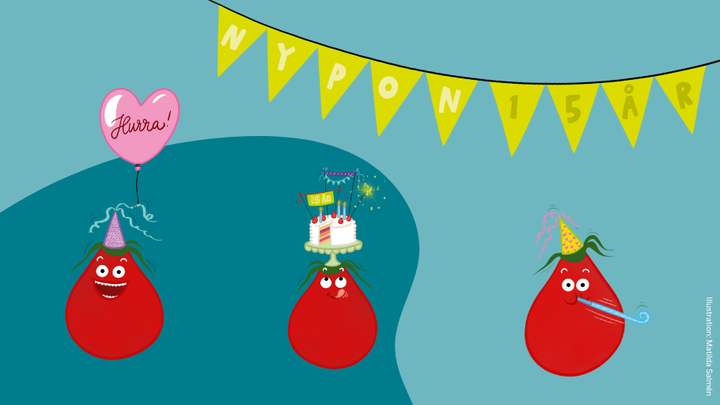 Tre nypon och en banderoll med texten Nypon 15 år