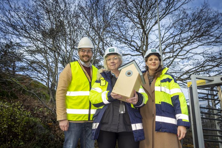 David Sundström, vd Lindbäcks Bygg, Chris Österlund, vd Familkjebostäder och Deniz Butros (V), bostadsborgarråd och ordförande i Familjebostäder med en fågelholk
