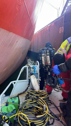 Tullverket fick assistans av dykare från Kustbevakningen med att få upp de sju välinpackade kokainpaketen som gömts i fraktfartyget.