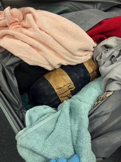 Synen som mötte tulltjänstemännen när de öppnade kvinnans resväska.