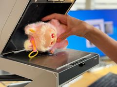 Analysresultaten visar att att de piratkopierade Labubu-dockorna innehåller farliga ämnen.