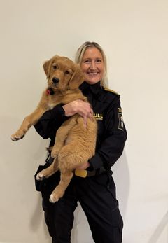 - Hundar söker efter det de tränas att söka efter. Valuta har en säregen doftbild. Det material som ingår i en sedel ger en doftbild i form av en "valutadoft", säger Anna-Karin Edström Lundemo, chef för Tullverkets hundverksamhet. På bilden syns även Tullverkets senaste tillskott den blivande sökhunden Castor. Foto: Tullverket.