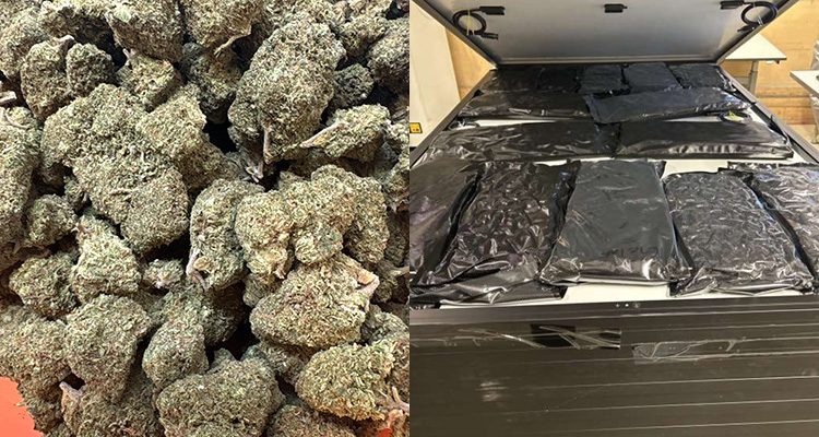 Solceller från USA innehöll stora mängder narkotika