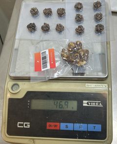 Vägning av narkotiska tryfflar som en medelålders man hade beställt till sin hemadress.