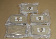 Kokainet förvarades i vakuumförpackningar märkta med UPS-loggan.