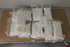 22 vakuumförpackningar med drygt 31 kilo ketamin. Elva av förpackningarna innehöll ett kristalliserat material medan resterande elva förpackningar innehöll ett mer pulveriserat material.
