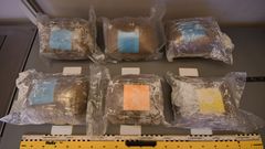 En av de blå plastsäckarna i firmabilen innehöll sex stycken vakuumförpackade paket med cannabisharts. Vita färgrester av blöt färg fanns i både plastsäcken och på paketen. Samtliga paket var av samma storlek och hade en vikt av cirka 2,3 kg, brutto.