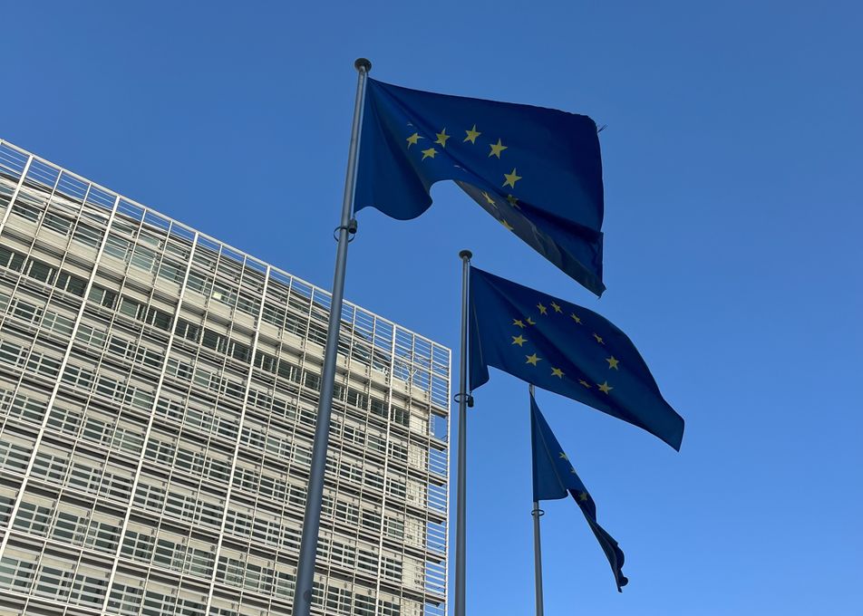 Handling krävs när EU vill lätta regelbördan