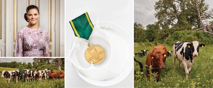 Kronprinsessan har i år äran att dela ut guldmedaljer till de mjölkbönder som i hela 23 år har levererat mjölk av mycket hög kvalitet. Foto: Linda Broström/Kungl. Hovstaterna, LRF Mjölk och Arla