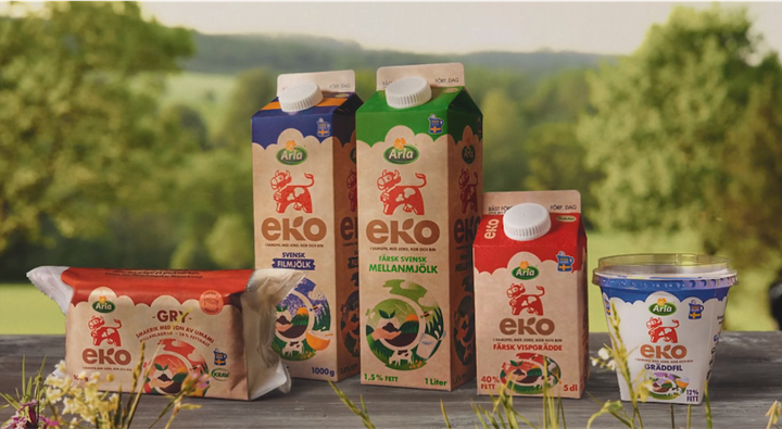 I ekologisk mejeriproduktion används inte naturfrämmande bekämpningsmedel och korna får beta extra mycket. Foto: Arla.