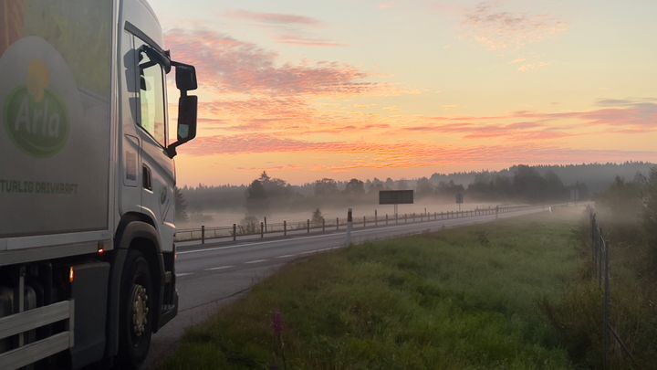 Mjölkpriset till bönderna har luft under vingarna. Efter novemberhöjningen hamnar priset runt rekordnivåerna från 2022. Foto: Arla/Håkan Johansson