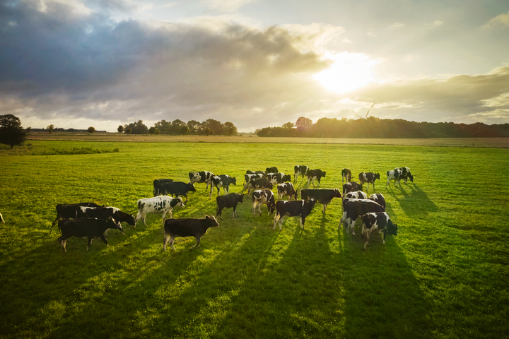 Arla, Lantmännen och Chalmers krokar arm för att möta hållbarhetsutmaningen. Foto: Arla