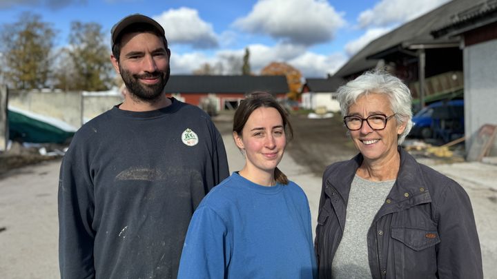 De senaste åren har familjen Wolf investerat i ett nytt ungdjursstall och två nya mjölkrobotar, nu ligger fokuset på att öka mjölkproduktionen. Foto: Arla.