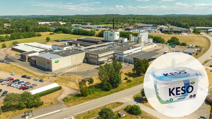 KESO©-fabriken i Falkenberg är Europas största cottage cheese-mejeri. I år förväntas den totala tillverkningen landa på 22 500 ton, 1 500 ton mer än det tidigare rekordet. Foto: Arla.