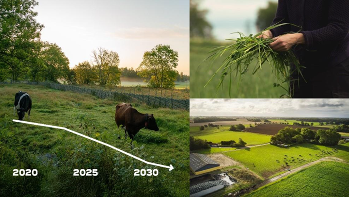 Arla och Kavli samarbetar för att öka takten i lantbrukets gröna omställning. Foto: Arla
