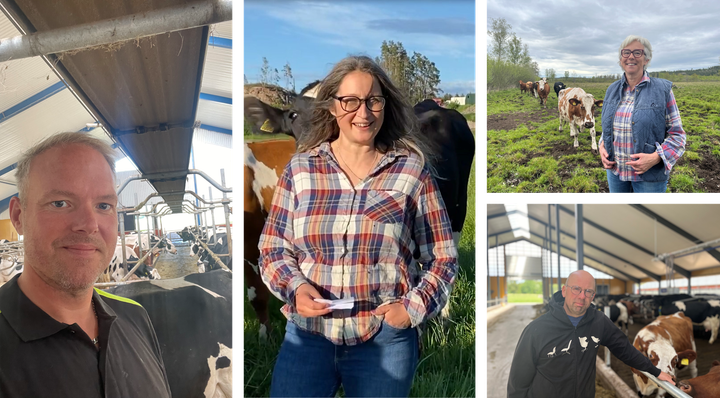 Från vänster: Daniel Halmsjö, Inger-Lise Sjöström, Marita Wolf och Gustav Kämpe.