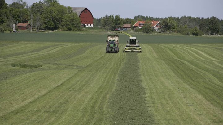Svenska lantbrukare är redo att investera i biogasproduktion, om bara regeringen ger dem chansen, skriver artikelförfattarna. Foto: Arla
