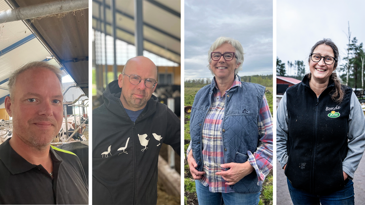 För oss bönder är det avgörande att både momssänkning och sänkta inköpspriser i dagligvaruhandeln når ända ut till konsumenterna, skriver (från vänster) Daniel Halmsjö, Gustav Kämpe, Marita Wolf och Inger-Lise Sjöström.