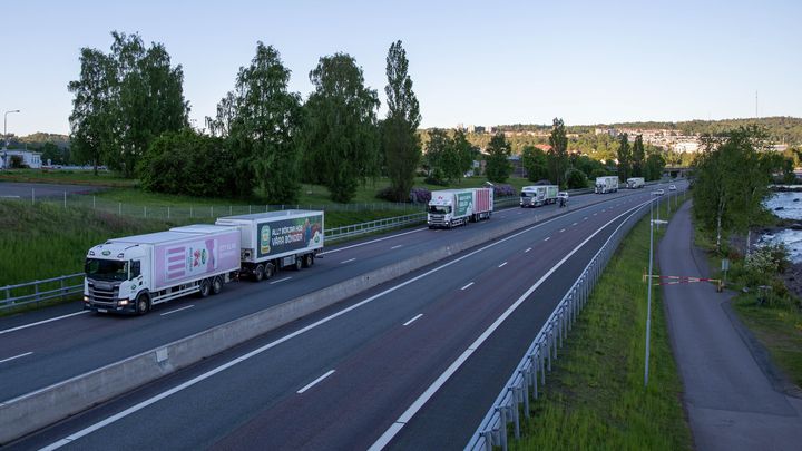 Den globala efterfrågan på protein fortsätter att ge stöd åt mejerimarknaden, samtidigt som värdet på mjölkfett är betydligt lägre än för ett år sedan. Foto: Arla/Fredrik Gustavsson