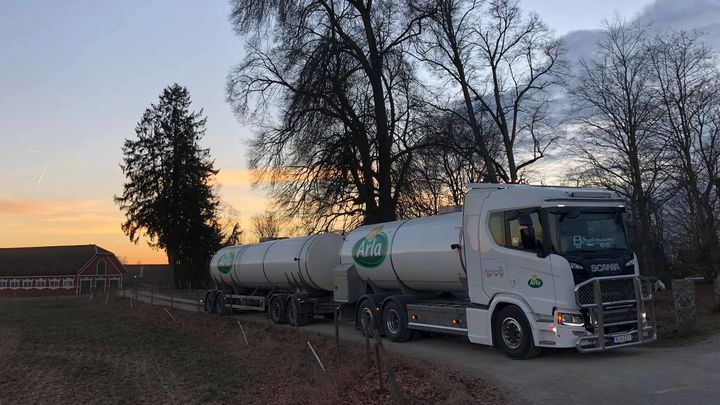 Stark efterfrågan på mjölkprotein fortsätter att stödja mejerimarknaderna, samtidigt som utbud och efterfrågan är i relativt god balans. Foto: Arla