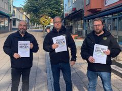 Lokalavdelningen delar ut flygblad i Värnamo. Från vänster: ombudsman Filip Brzezinski, ombudsman Mattias Petersson, avdelningsordförande Fredrik Svensson