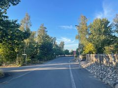 En gata med grönska på båda sidor och en målad gångbana till höger.