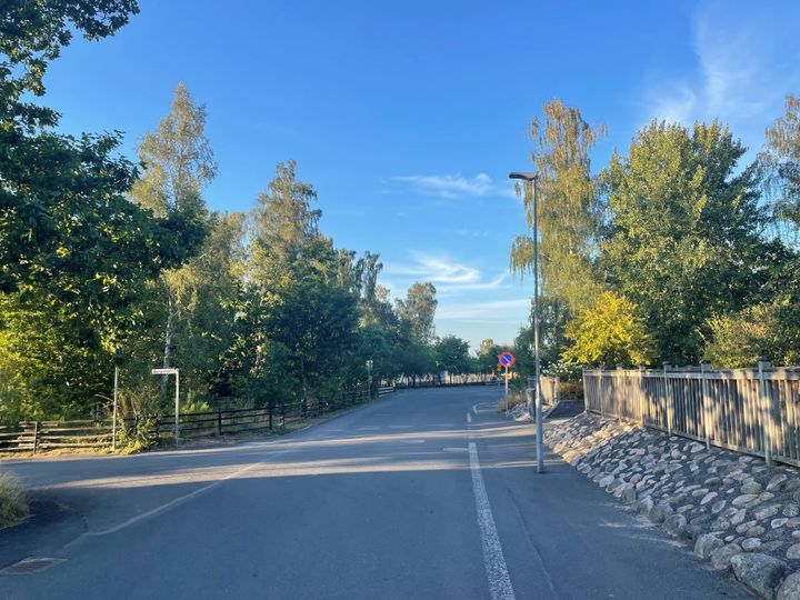 En%20gata%20med%20gr%F6nska%20p%E5%20b%E5da%20sidor%20och%20en%20m%E5lad%20g%E5ngbana%20till%20h%F6ger.