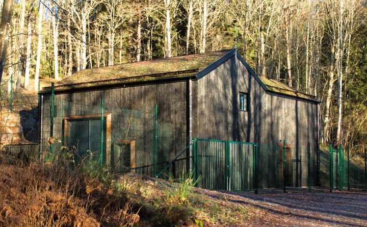 En%20byggnad%20i%20naturf%E4rger%20som%20omges%20av%20staket%20i%20en%20t%E4t%20skog.