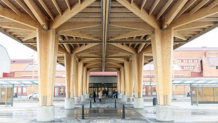 Entr%E9%20till%20en%20byggnad%2C%20med%20stora%2C%20h%F6ga%20tr%E4partier%20som%20ger%20v%E4derskydd.