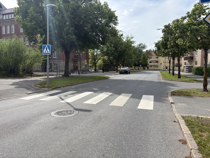 BIldväg med övergångsställen på intill en skola.