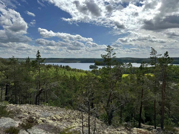 Hästenäs kyrkskog utanför Norrköping.