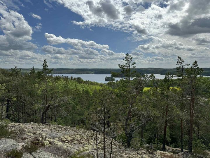Hästenäs kyrkskog utanför Norrköping.