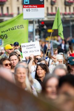 Skylthav i demonstrationen
